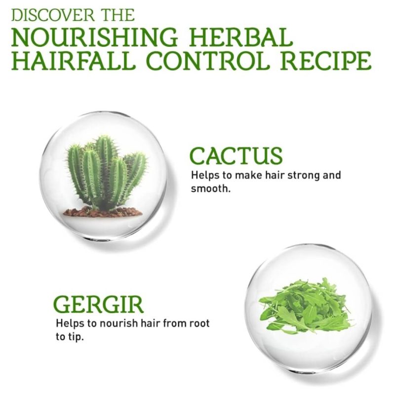 Vatika Naturals Cactus & Gergir Hair Fall Control Oil Replacement 200ml | AlbazaarMarket.com