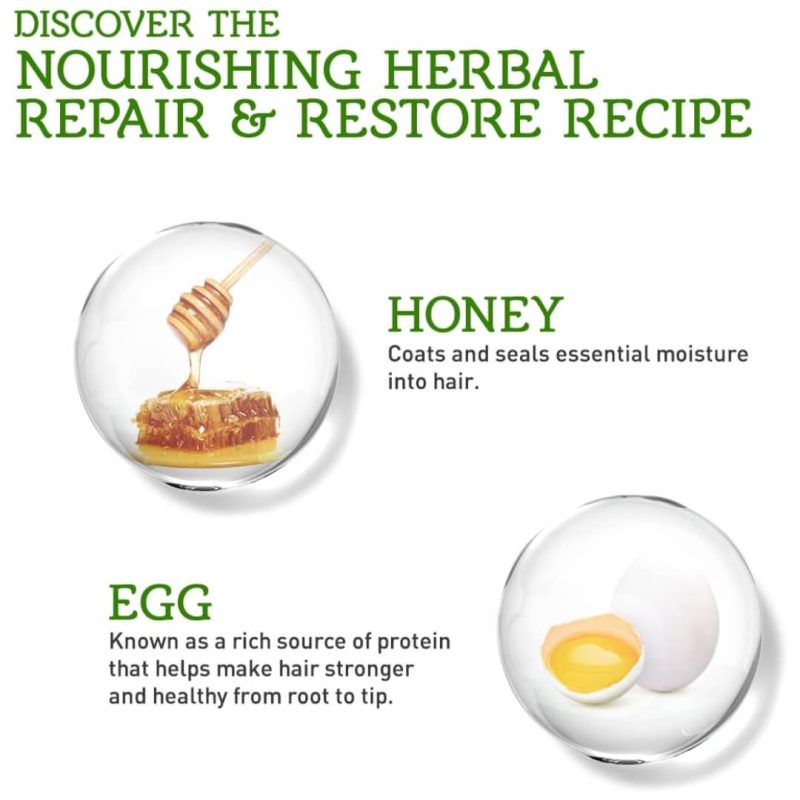 Vatika Naturals Honey & Egg Repair & Restore Oil Replacement 200ml | AlbazaarMarket.com