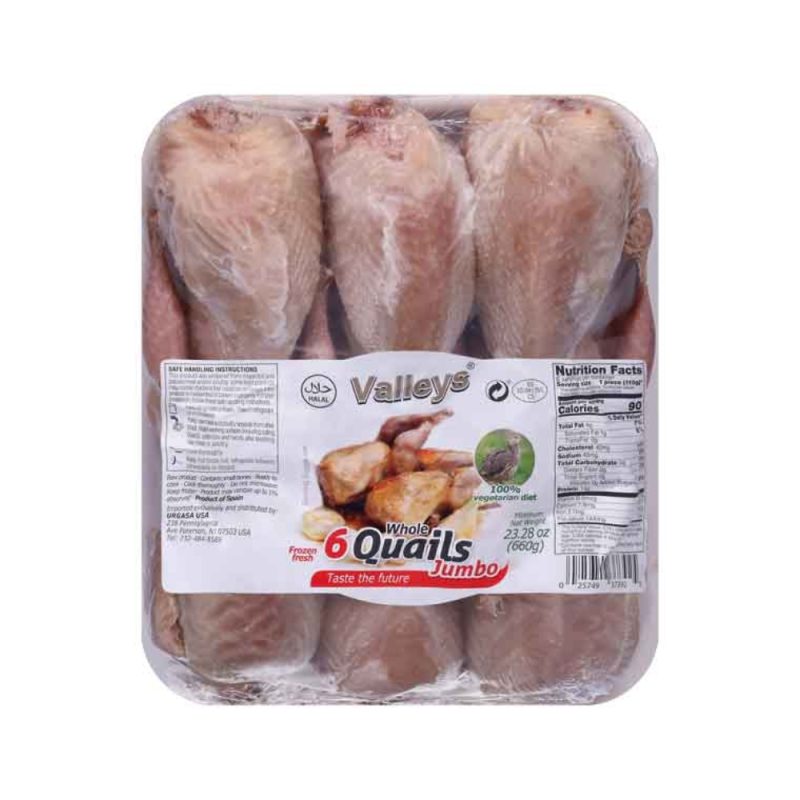Jumbo Quails 6 Ct. by Shahia