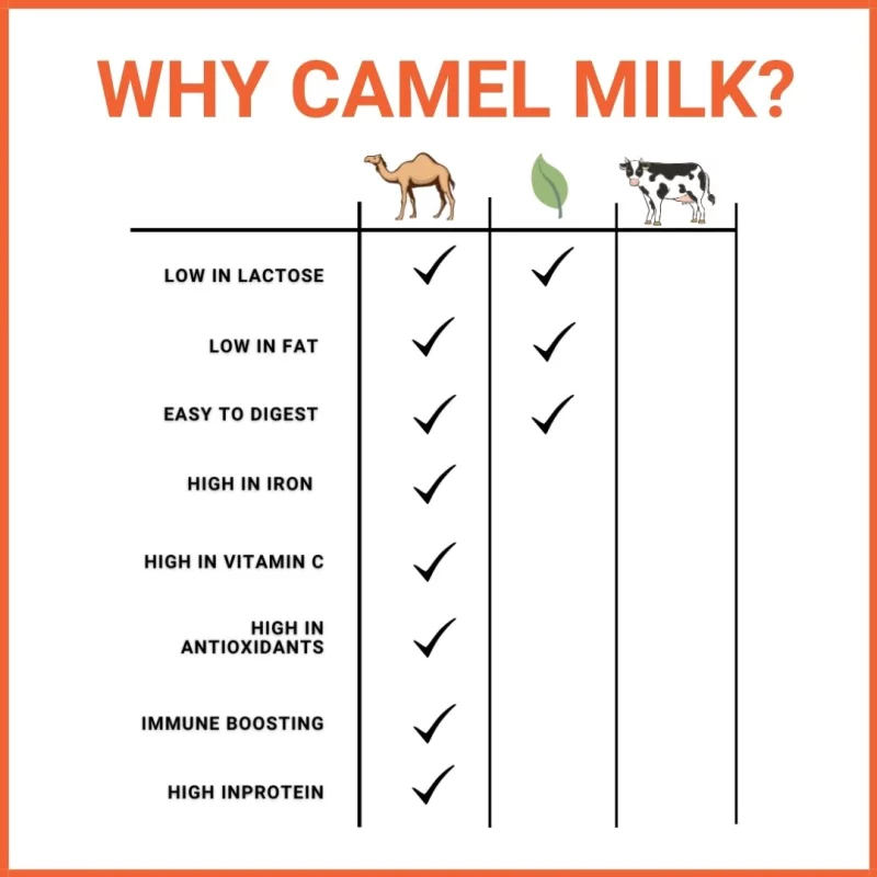 Camel Milk