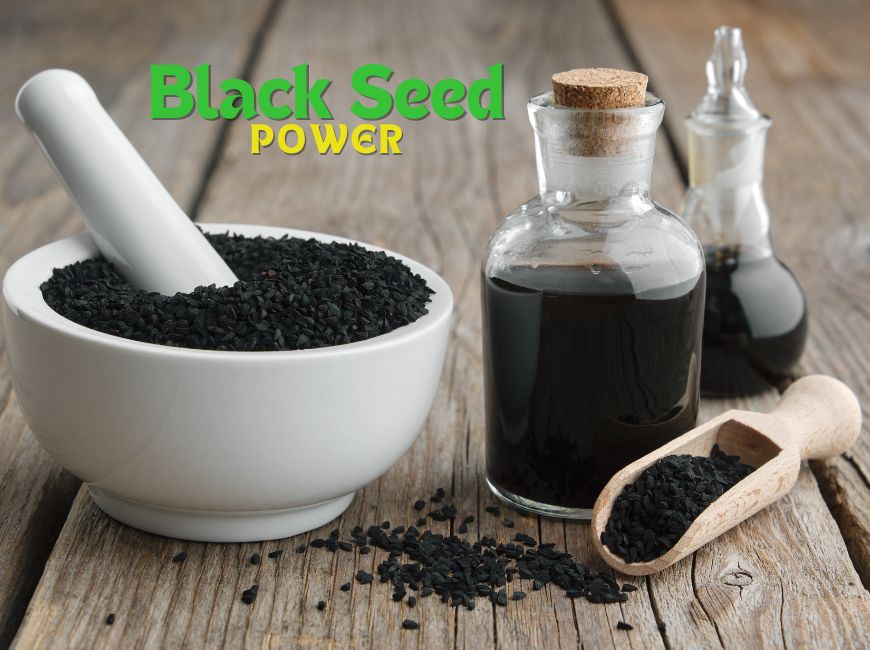 El Captain Virgin Black Seed Oil (Nigella Sativa) | Shop At AlbazaarMarket.com