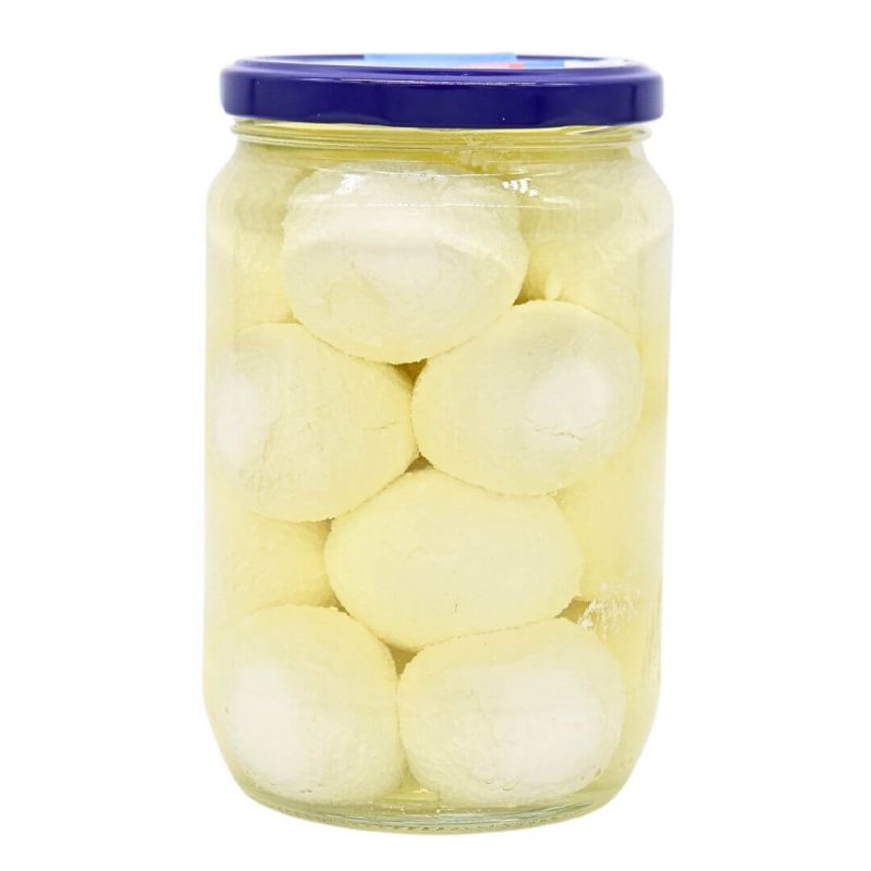Shahia Labneh Regular Goat's Milk Strained Yogurt Balls in Oil 15oz | stg-albazaarmarket-staging.kinsta.cloud